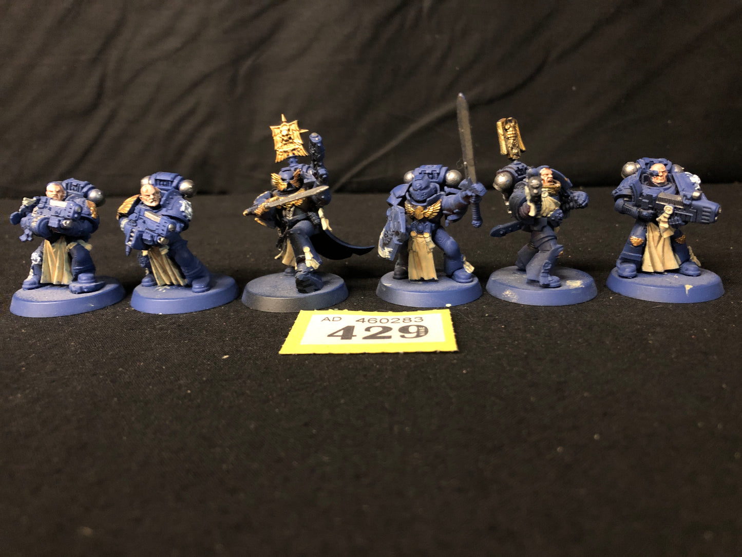 6x Tactical Marines #429 Space Marines Warhammer 40k