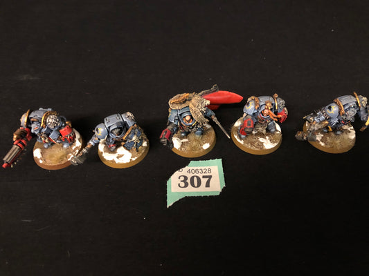 5x Wolf Guard Terminators #307 VERY Well Painted Space Wolves Space Marines Warhammer 40k