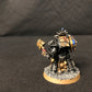 Terminator Chaplain Tarentus #363 Well Painted Space Marines Warhammer 40k