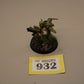 Primaris Lieutenant in Phobos Armour #932 Space Marines Warhammer 40k