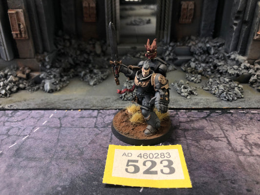 Black Templars Primaris Captain #523 Well Painted Space Marines Warhammer 40k