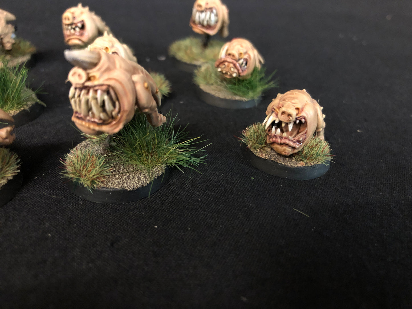 12x Squig Herd Orks #453 Very Well Painted Gloomspite Gitz AOS Warhammer 40k