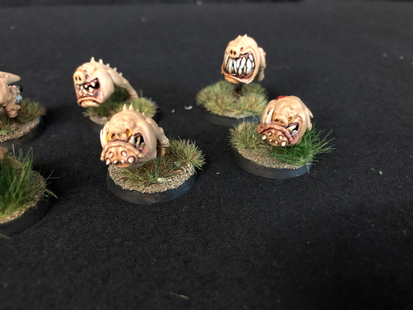 12x Squig Herd Orks #453 Very Well Painted Gloomspite Gitz AOS Warhammer 40k