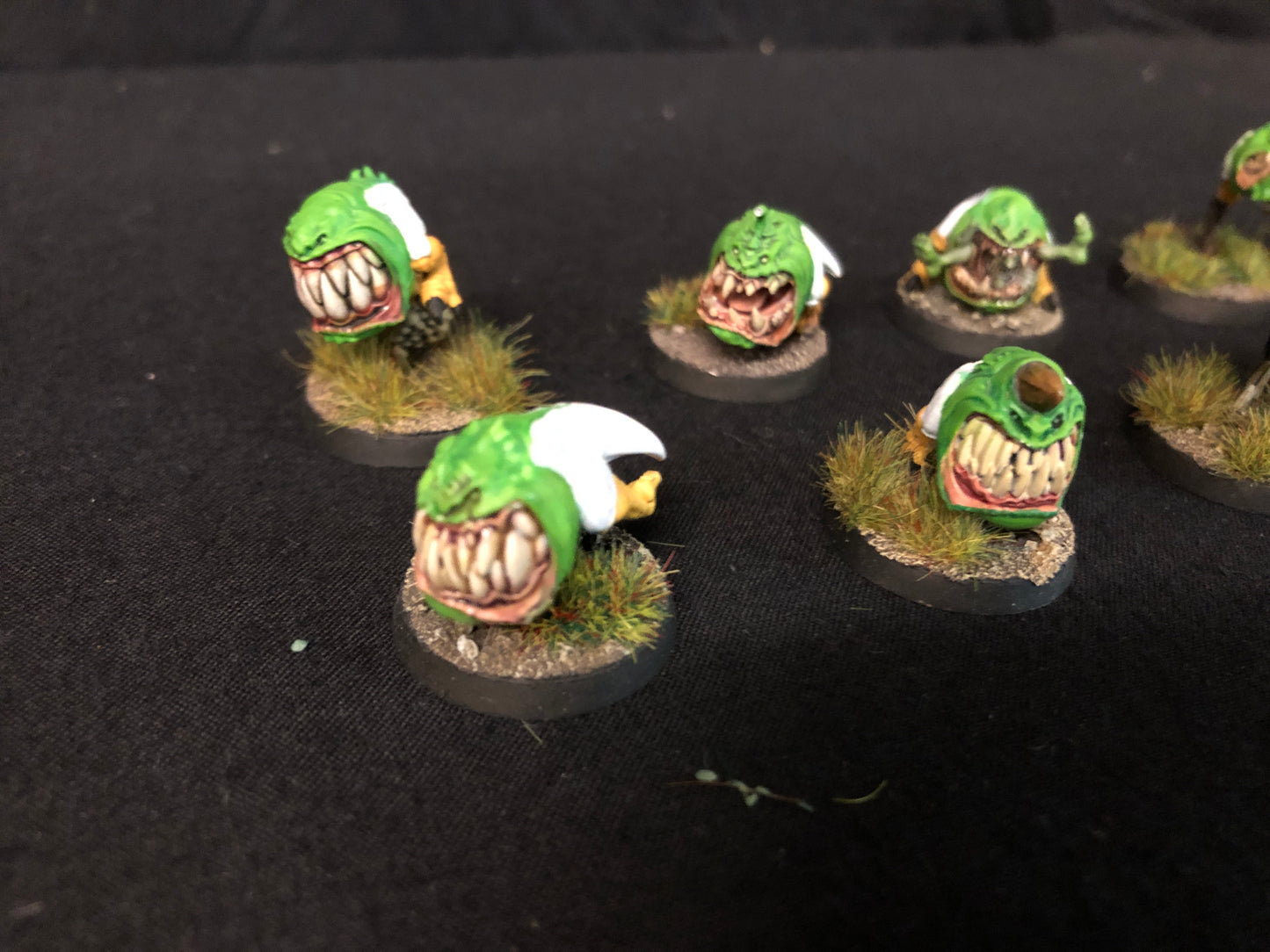 20x Squig Herd Orks #460 VERY Well Painted Gloomspite Gitz AOS Warhammer 40k