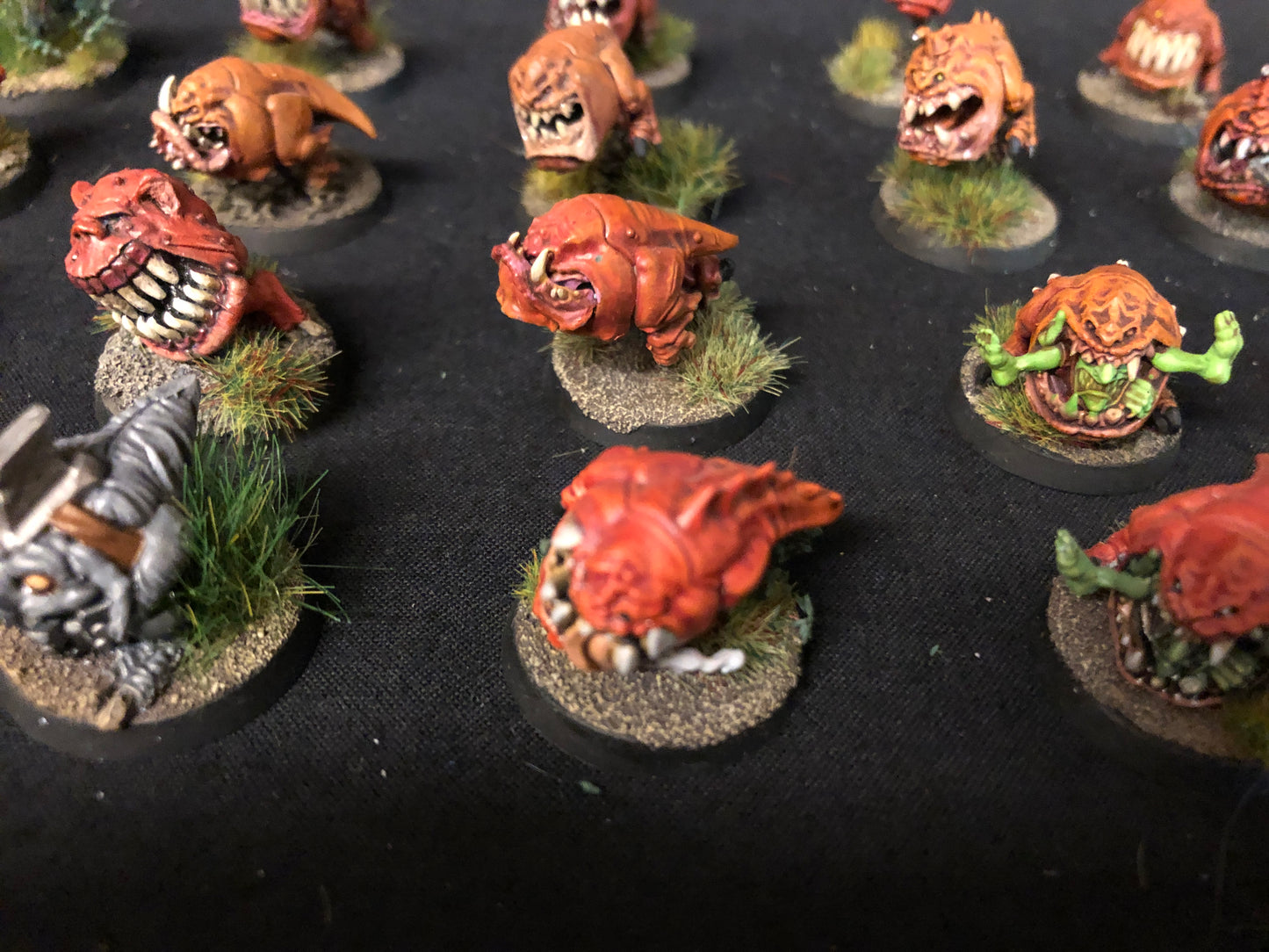 20x Squig Herd Orks #467 VERY Well Painted Gloomspite Gitz AOS Warhammer 40k