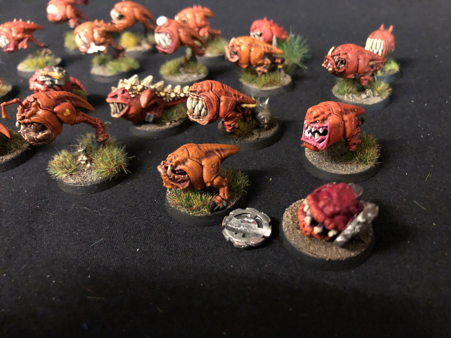 20x Squig Herd Orks #470 VERY Well Painted Gloomspite Gitz AOS Warhammer 40k