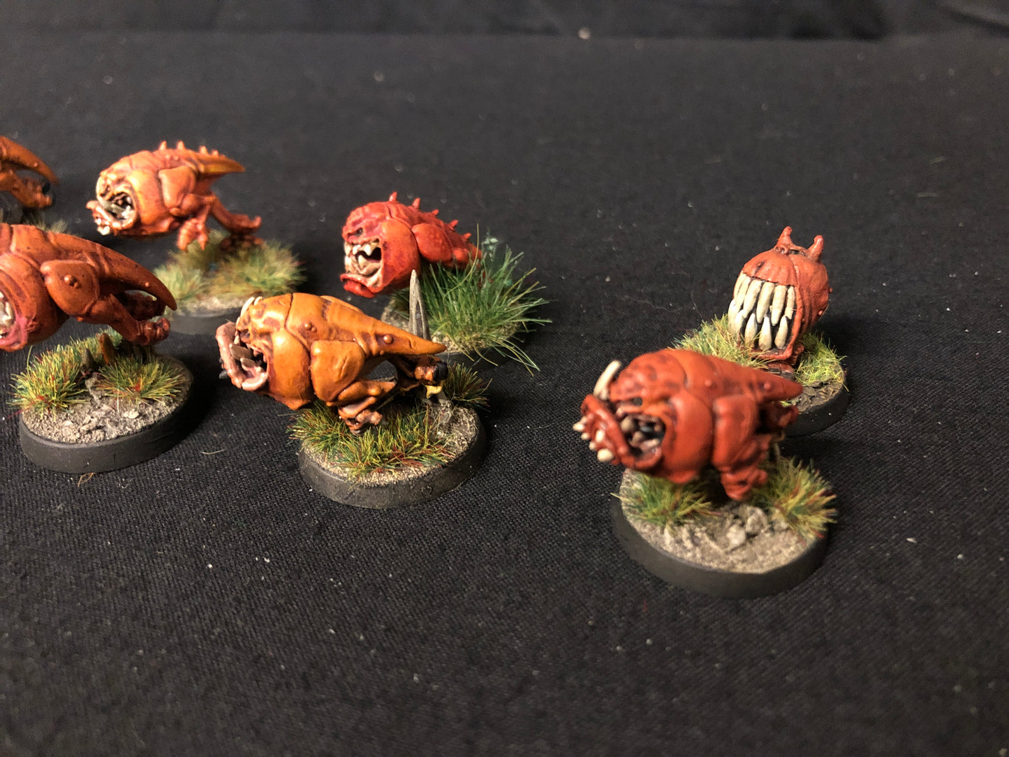20x Squig Herd Orks #470 VERY Well Painted Gloomspite Gitz AOS Warhammer 40k