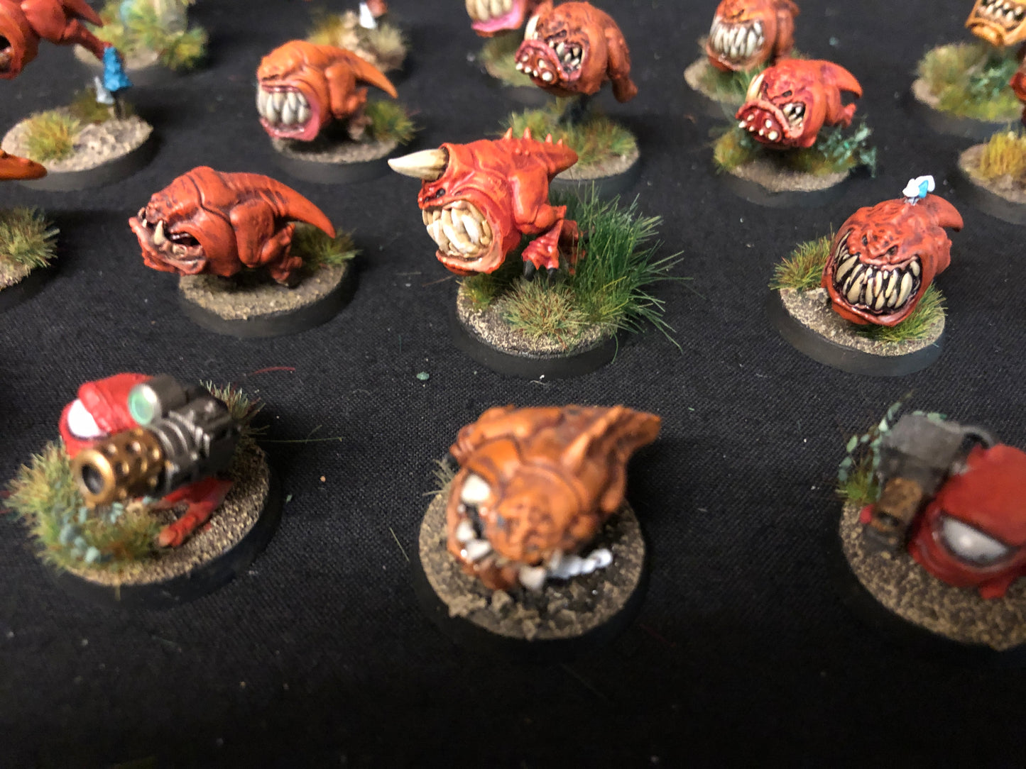 20x Squig Herd Orks #474 VERY Well Painted Gloomspite Gitz AOS Warhammer 40k