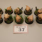 10x Squigs #37 VERY Well Painted Orks Orruk Warclans AOS Warhammer 40k