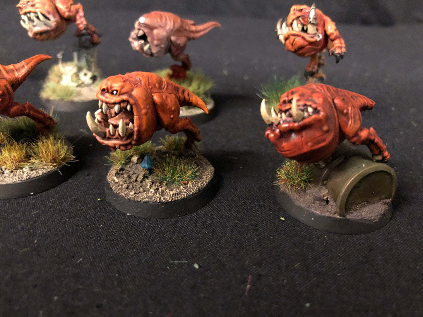10x Squig Herd Orks #479 VERY Well Painted Gloomspite Gitz AOS Warhammer 40k