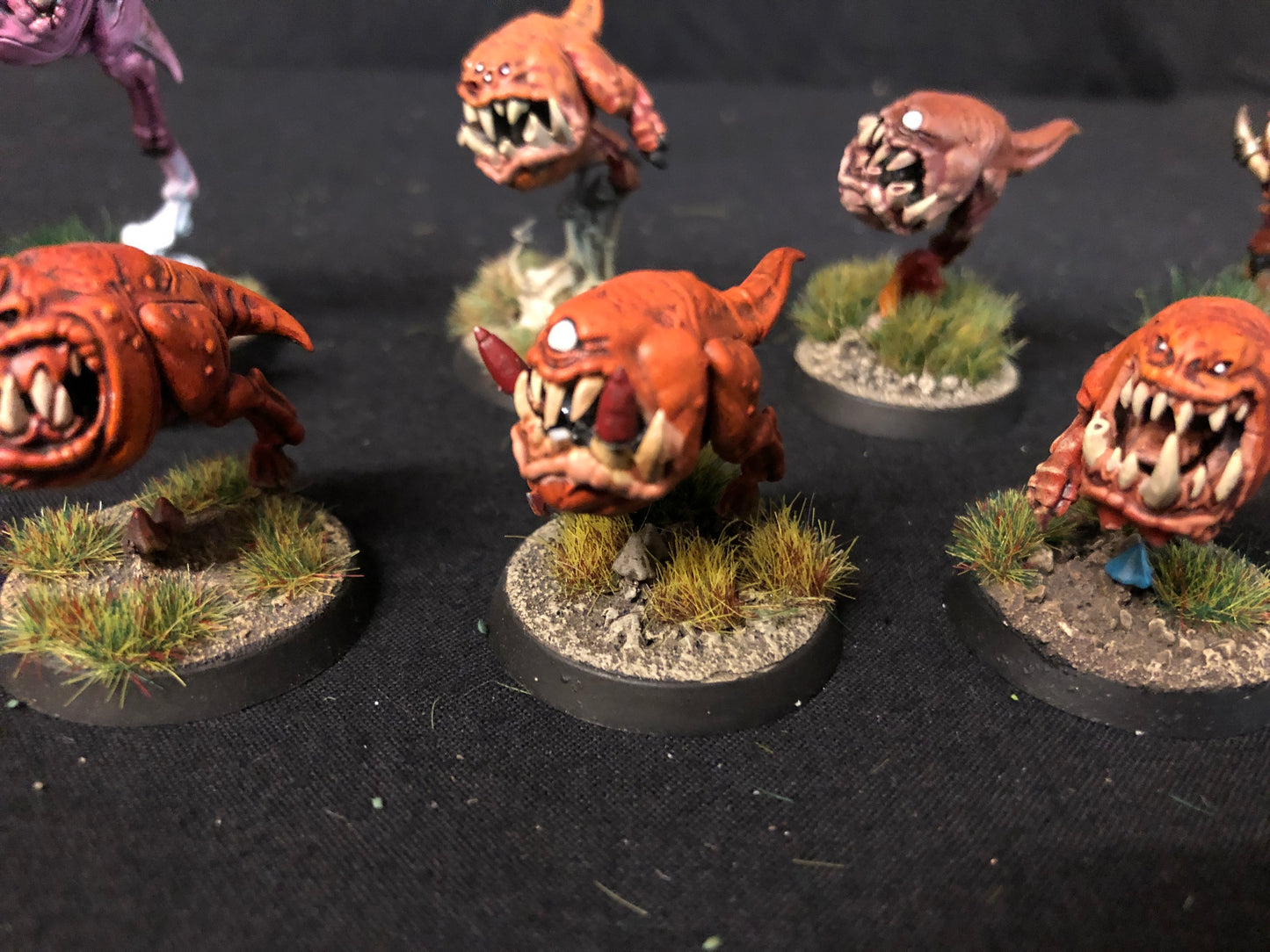 10x Squig Herd Orks #479 VERY Well Painted Gloomspite Gitz AOS Warhammer 40k