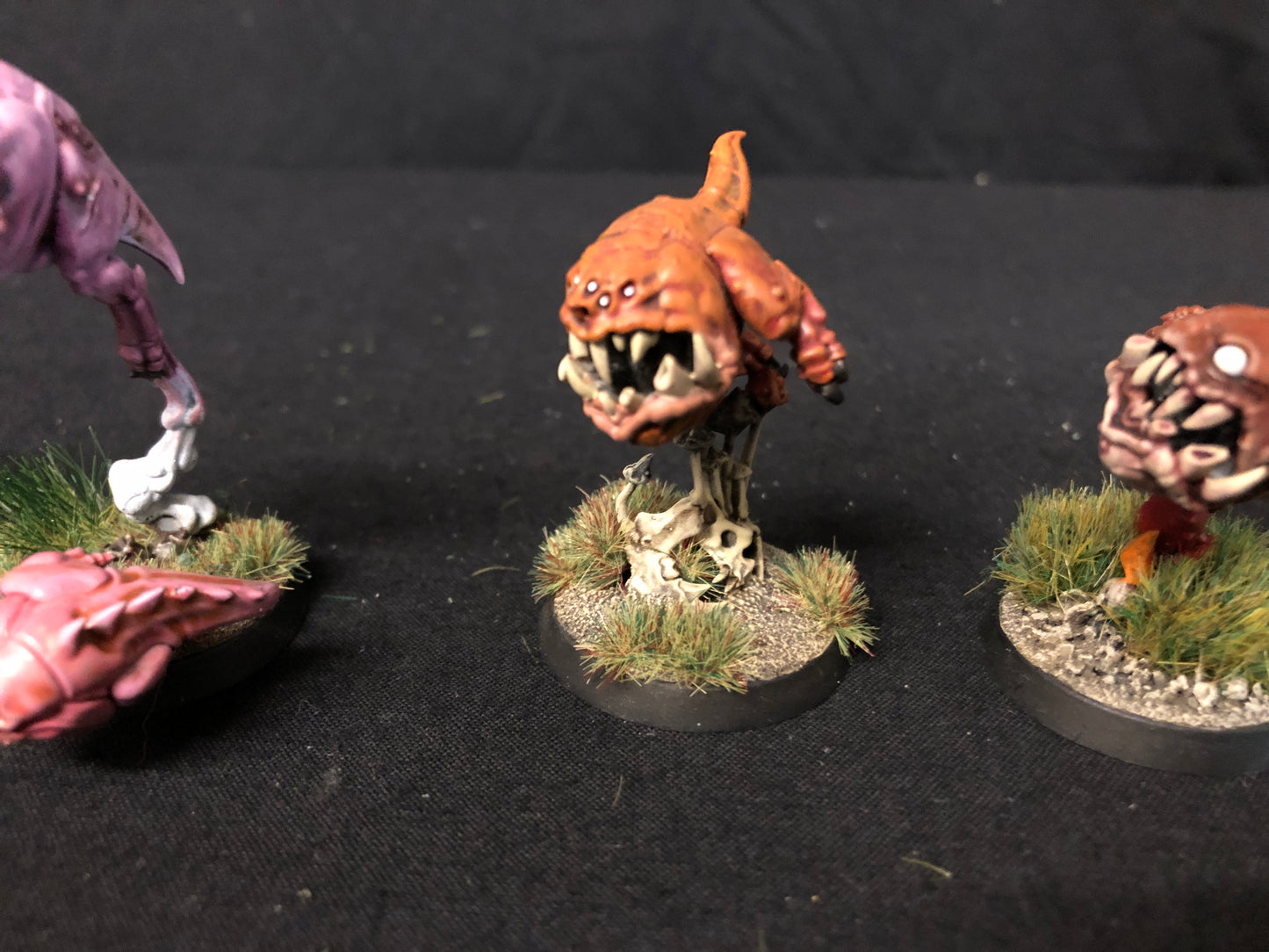 10x Squig Herd Orks #479 VERY Well Painted Gloomspite Gitz AOS Warhammer 40k