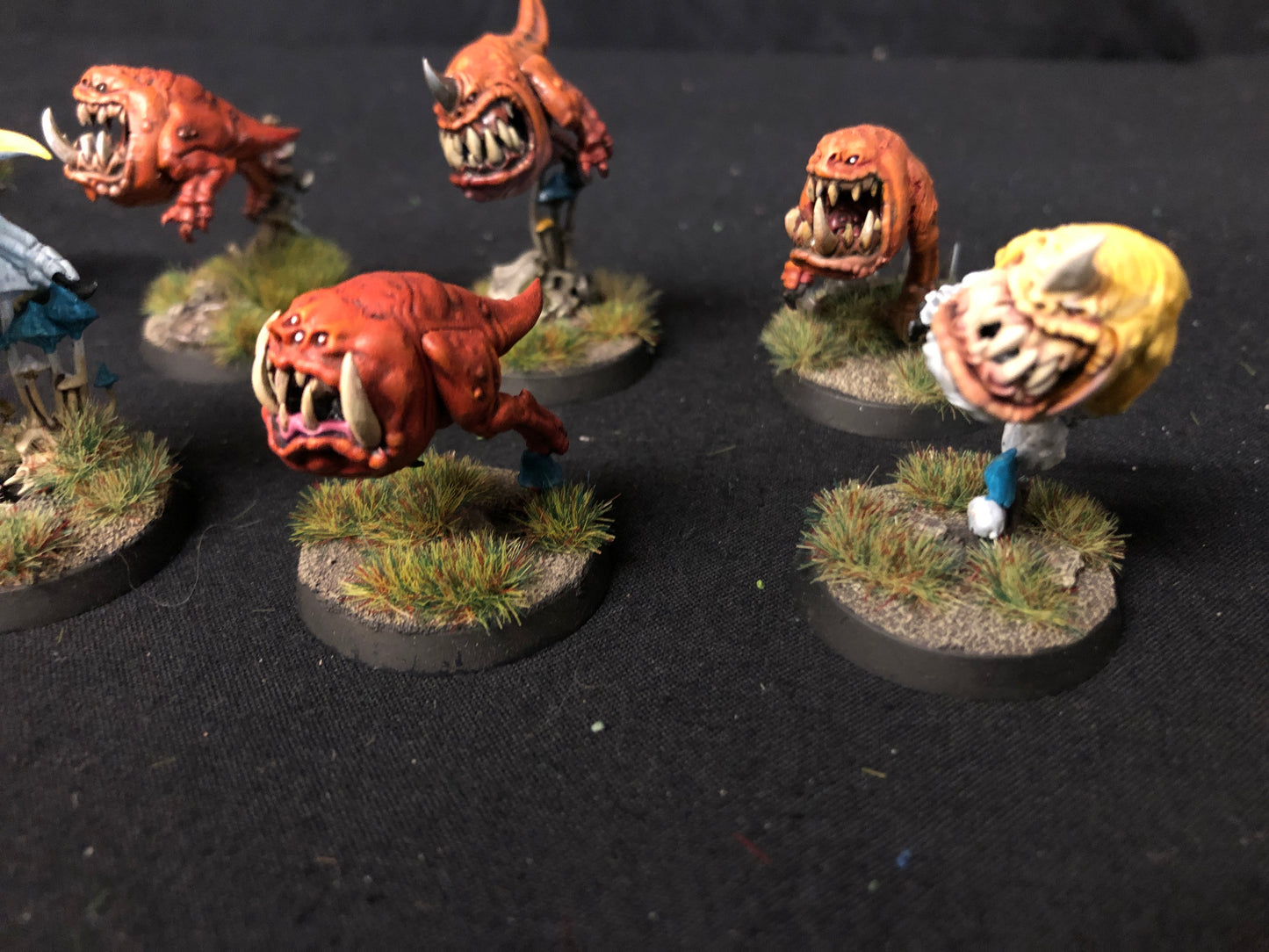 10x Squig Herd Orks #480 VERY Well Painted Gloomspite Gitz AOS Warhammer 40k