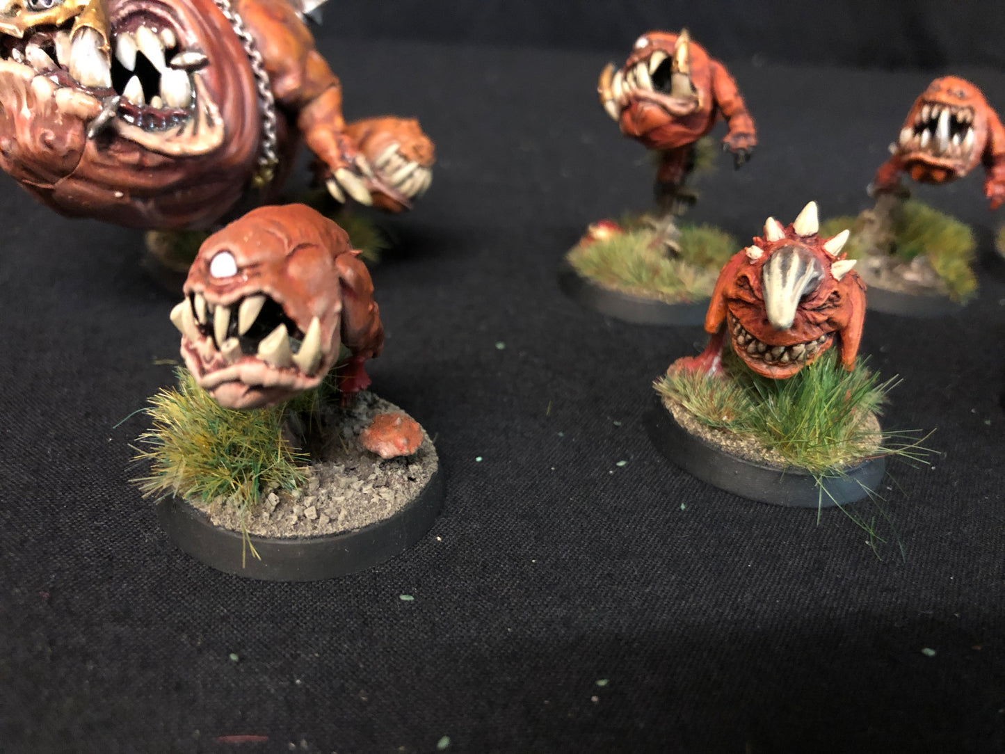 10x Squig Herd Orks #480 VERY Well Painted Gloomspite Gitz AOS Warhammer 40k