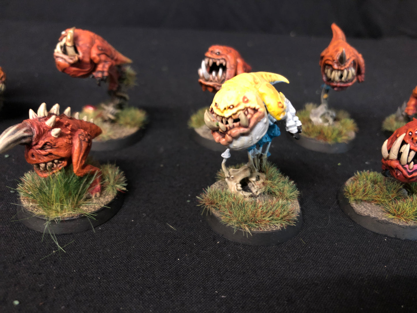 10x Squig Herd Orks #480 VERY Well Painted Gloomspite Gitz AOS Warhammer 40k