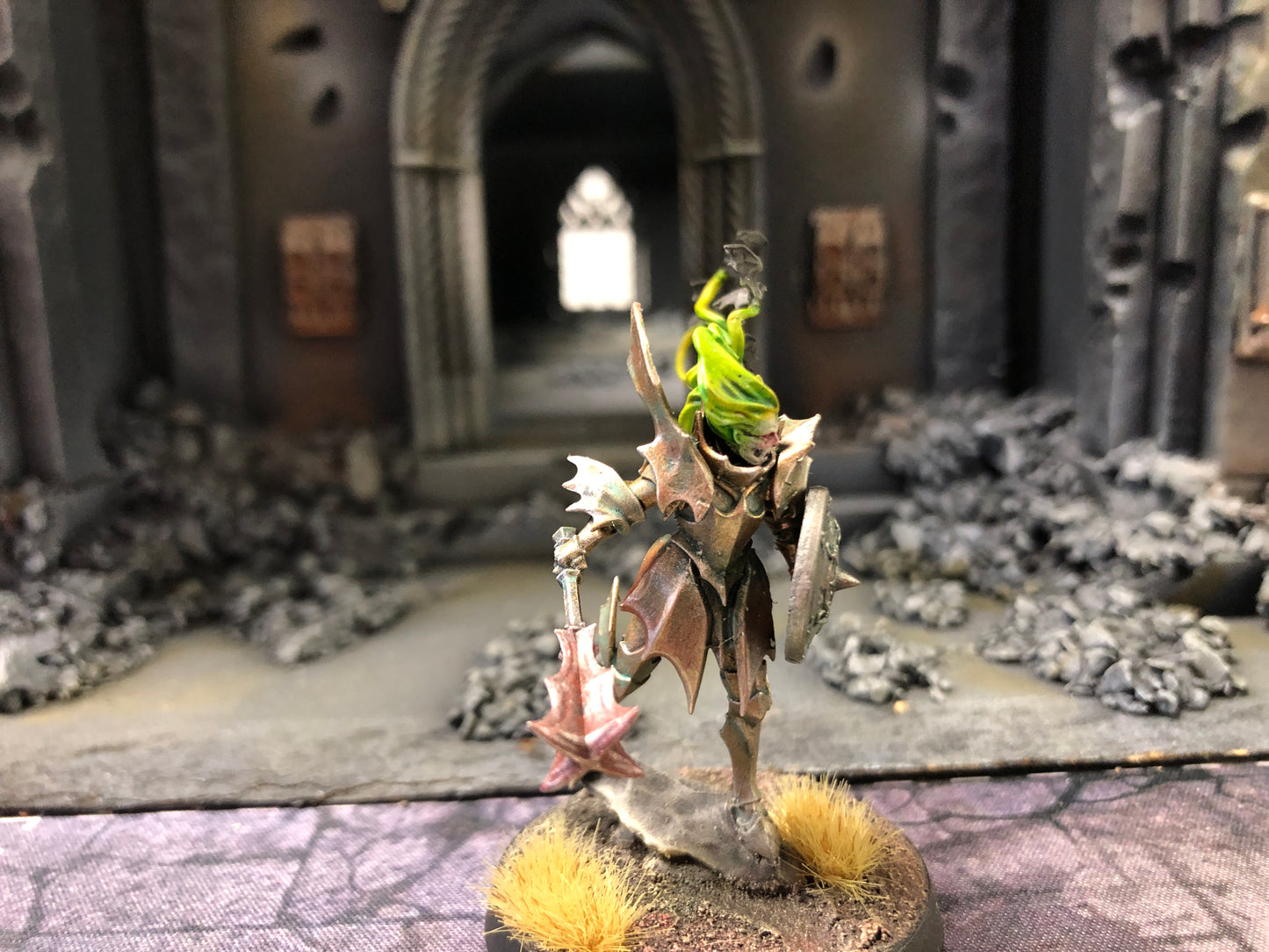 Vampire Lord #662 Well Painted Soulblight Gravelords AOS Warhammer 40k