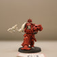 Primaris Librarian in Terminator Armour #63 Space Marines Warhammer 40k