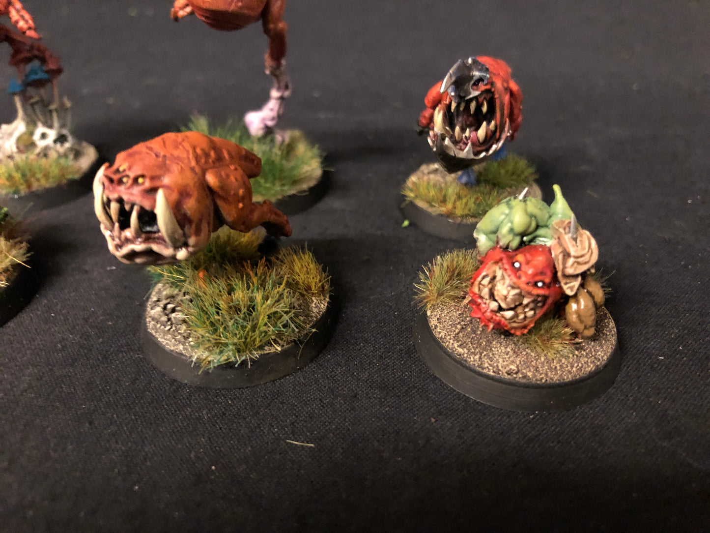 10x Squig Herd Orks #516 VERY Well Painted Gloomspite Gitz AOS Warhammer 40k