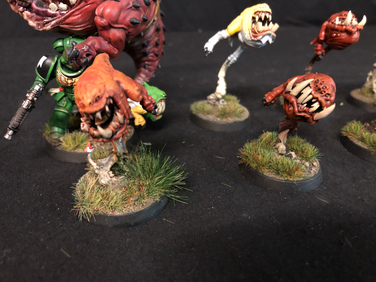 10x Squig Herd Orks #518 VERY Well Painted Gloomspite Gitz AOS Warhammer 40k
