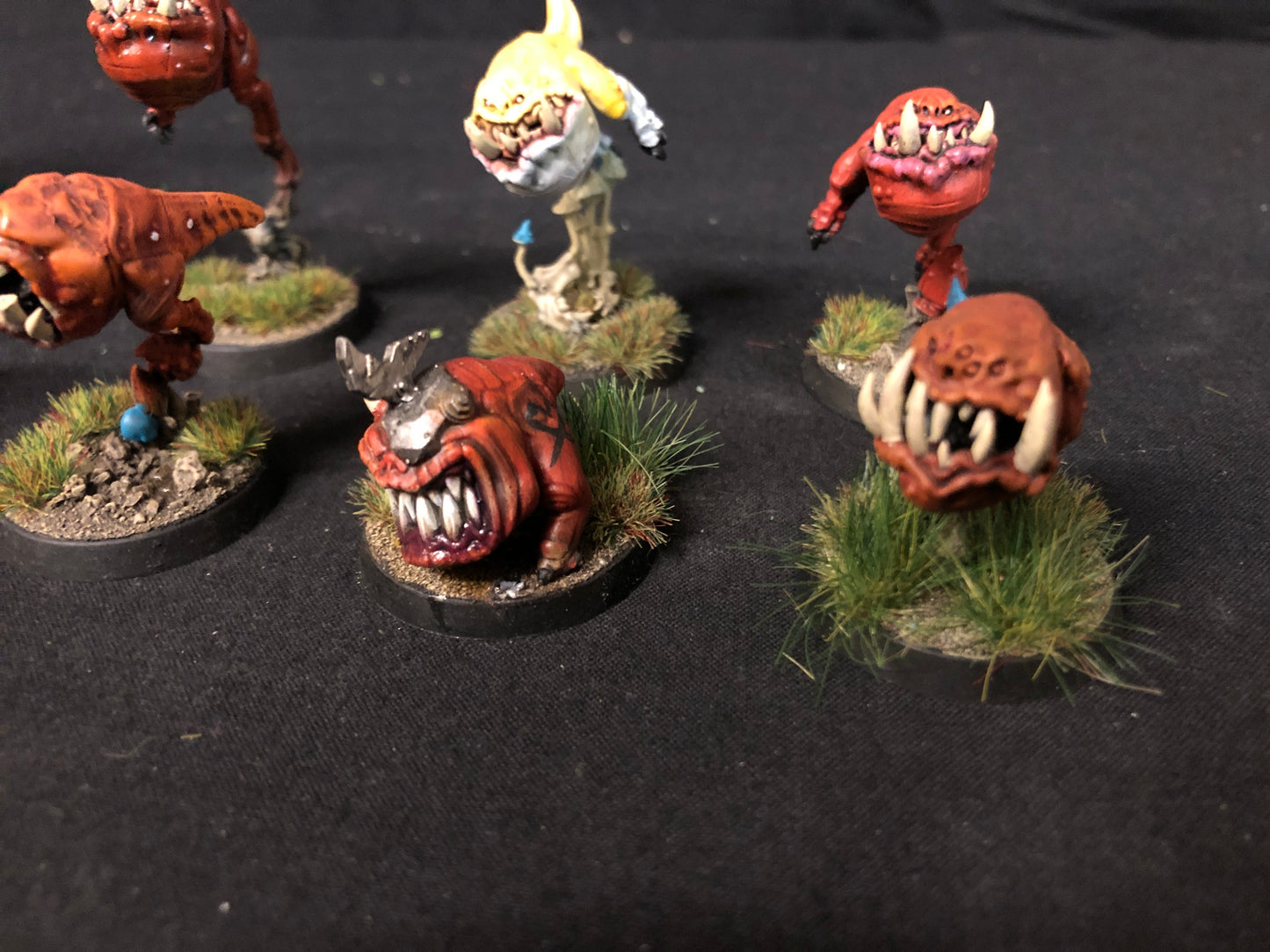 10x Squig Herd Orks #518 VERY Well Painted Gloomspite Gitz AOS Warhammer 40k