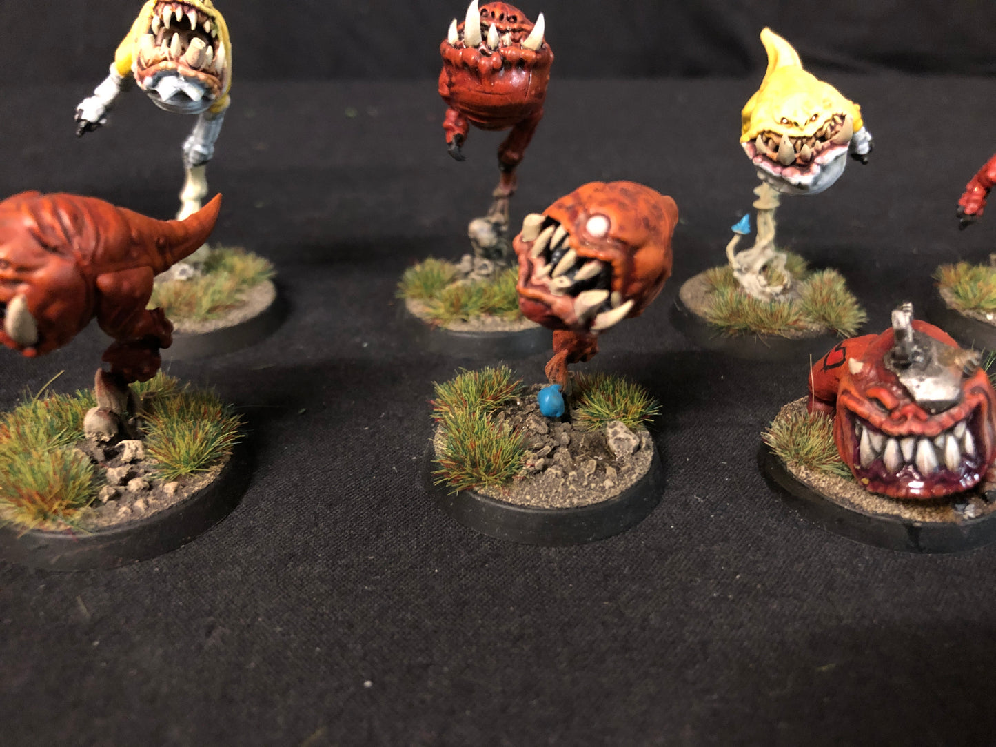 10x Squig Herd Orks #518 VERY Well Painted Gloomspite Gitz AOS Warhammer 40k