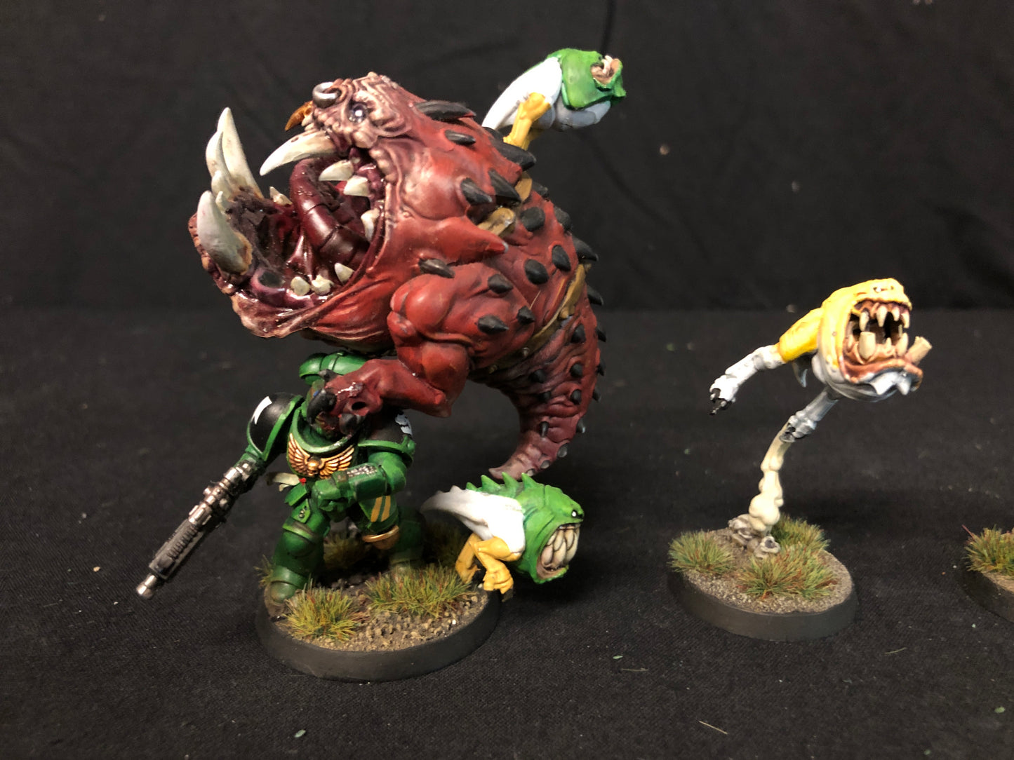 10x Squig Herd Orks #518 VERY Well Painted Gloomspite Gitz AOS Warhammer 40k