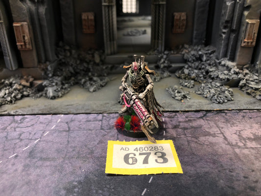 Royal Warden #673 Well Painted Necrons Warhammer 40k