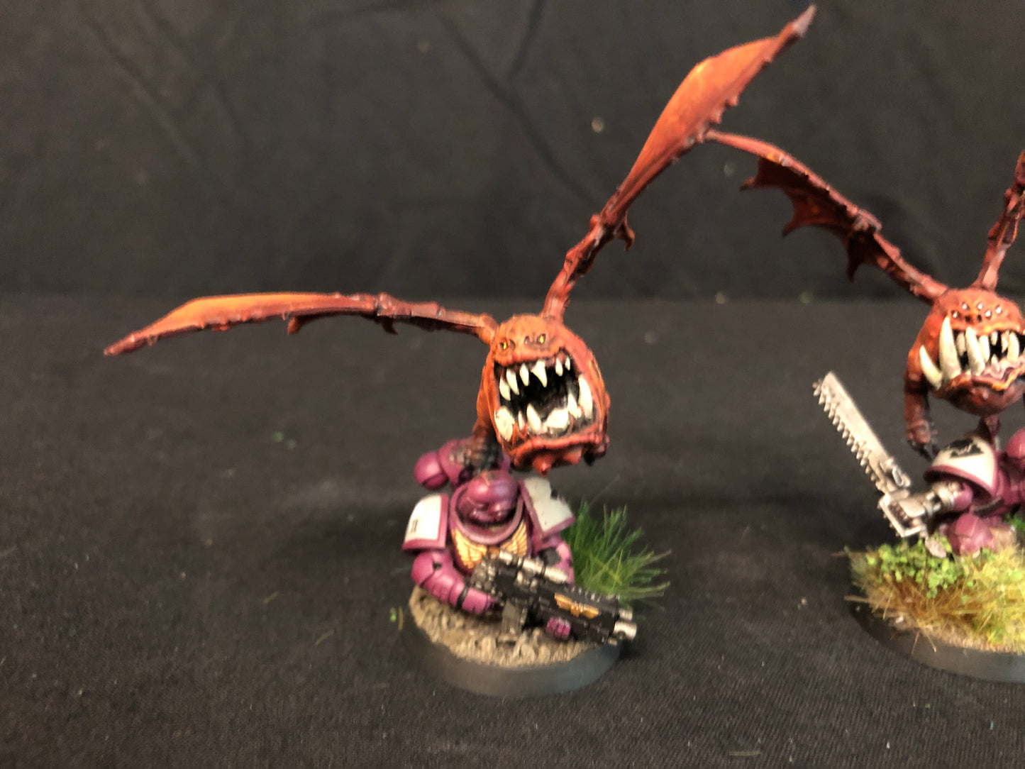 5x Custom Squig Bats Orks #523 VERY Well Painted gloomspite Gitz AOS Warhammer 40k