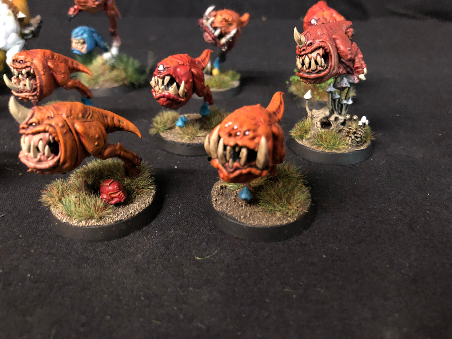 11x Squig Herd Orks #527 VERY Well Painted Gloomspite Gitz AOS Warhammer 40k