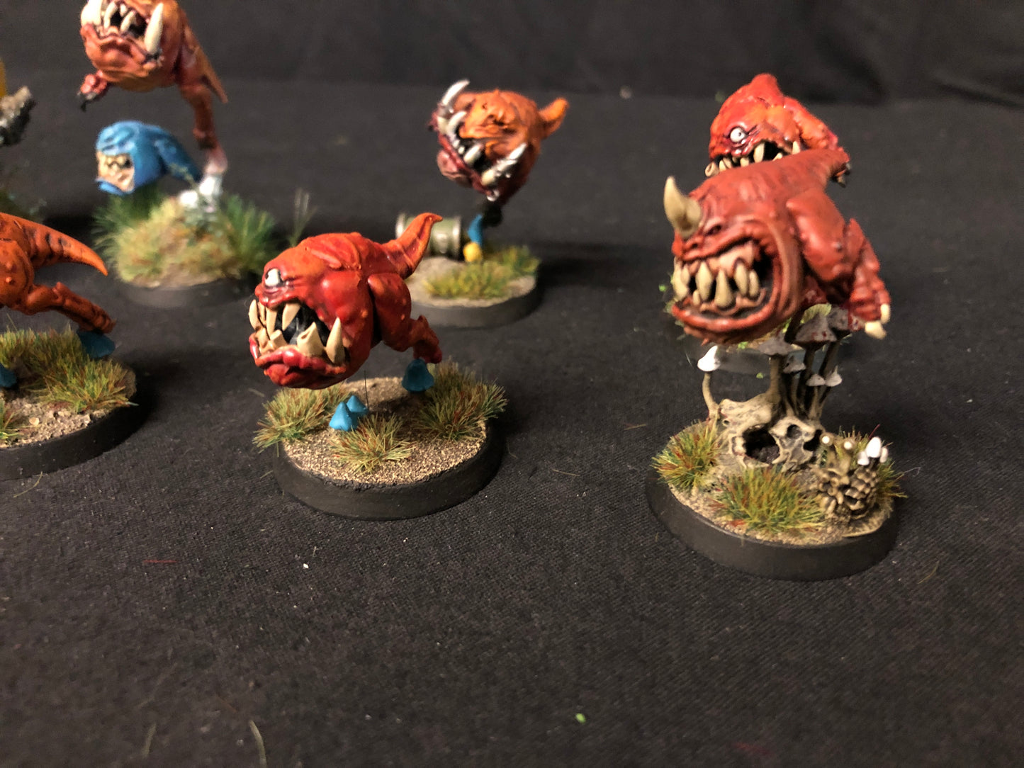 11x Squig Herd Orks #527 VERY Well Painted Gloomspite Gitz AOS Warhammer 40k