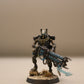 Royal Warden #102 Well Painted Necrons Warhammer 40k