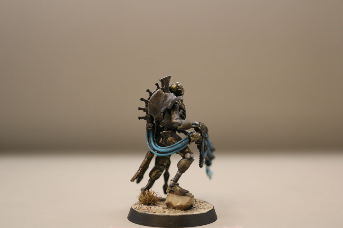 Royal Warden #102 Well Painted Necrons Warhammer 40k