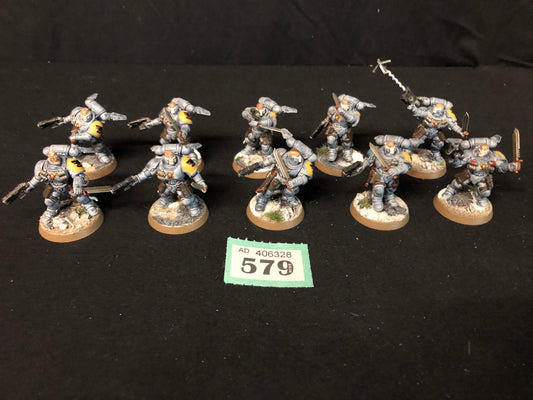 10x Primaris Rievers #579 Well Painted Space Marines Warhammer 40k