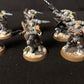 10x Primaris Rievers #579 Well Painted Space Marines Warhammer 40k