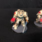 5x Primaris Terminator Squad #581 Space Marines Warhammer 40k