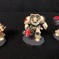5x Primaris Terminator Squad #581 Space Marines Warhammer 40k