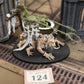 Marshcrawla Sloggoth 124 Orruk Warclans Warhammer 40k Age of Sigmar