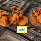 3x Thunderwolf Cavalary Space Wolves #838 Space Marines Warhammer 40k