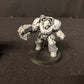 5x Primaris Terminator Squad #692 Space Marines Warhammer 40k