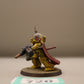 Captain in Terminator Armour 720 Imperial Fists Well Painted Warhammer 40k Space Marines