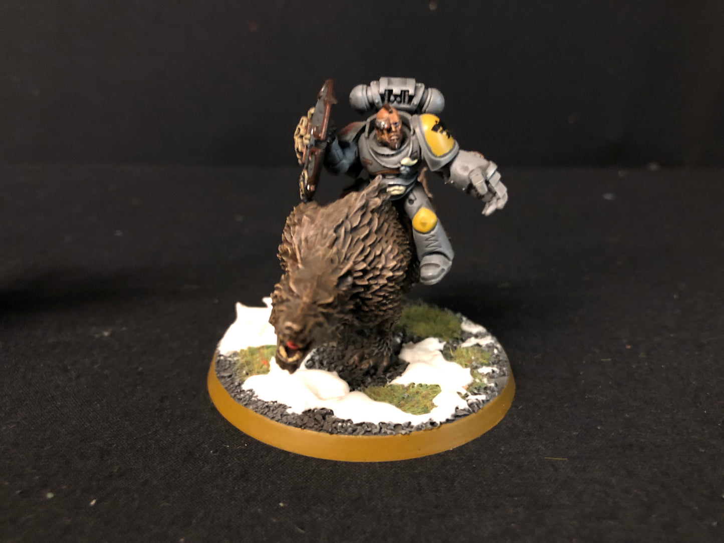4x Thunderwolf Cavalry #711 Space Wolves Very Well Painted Space Marines Warhammer 40k