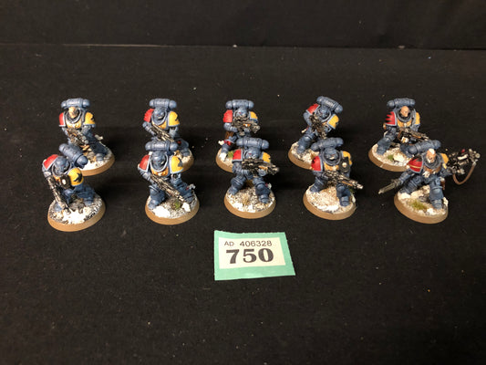 10x Primaris Intercessors #750 Very Well Painted Space Wolves Space Marines Warhammer 40k