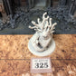 Beast of Nurgle #325 Daemons of Nurgle AOS Warhammer 40k