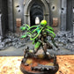 Hexmark Destroyer #332 VERY Well Painted Necrons Warhammer 40k