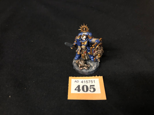 Primaris Bladeguard Captain #405 Very Well Painted Space Marines Warhammer 40k