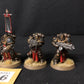 5x Primaris Sternguard Veterans #496 Well Painted Space Marines Warhammer 40k