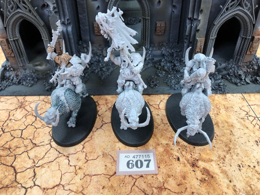 3x Mournfang Pack #607 Ogor Mawtribes AOS Warhammer 40k