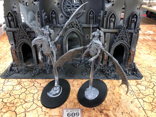 2x Knight Draconis Stormdrake #609 Stormcast Eternals AOS Warhammer 40k