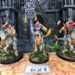 3x Aggradon Lancers #621 VERY Well Painted Seraphon AOS Warhammer 40k