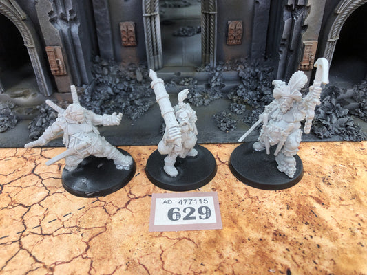 Pirate Maneater Ogor Mawtribes + 2 More #629 AoS  Warhammer 40k